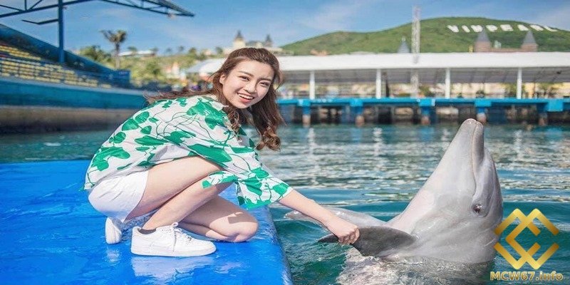 Nằm mơ thấy cá heo và dàn số đẹp dễ nổ lớn liên quan 6 Có nhiều điềm báo khác nhau trong mỗi chiêm bao thấy cá heo